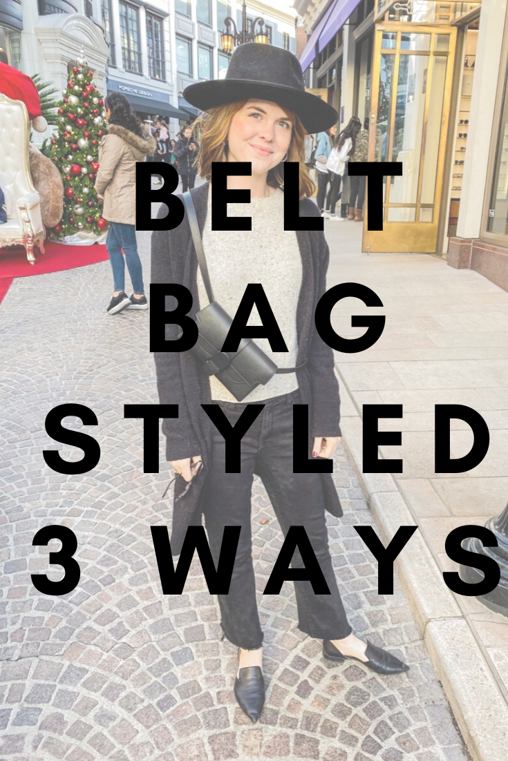 Senreve Updated Aria Belt Bag vs. the Old Version, LMents of Style