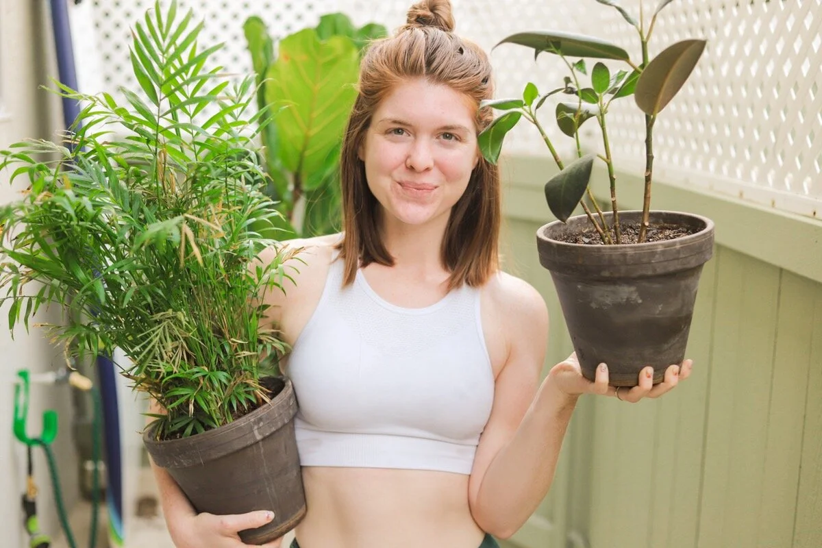 What CBD is and What to Look for in Products