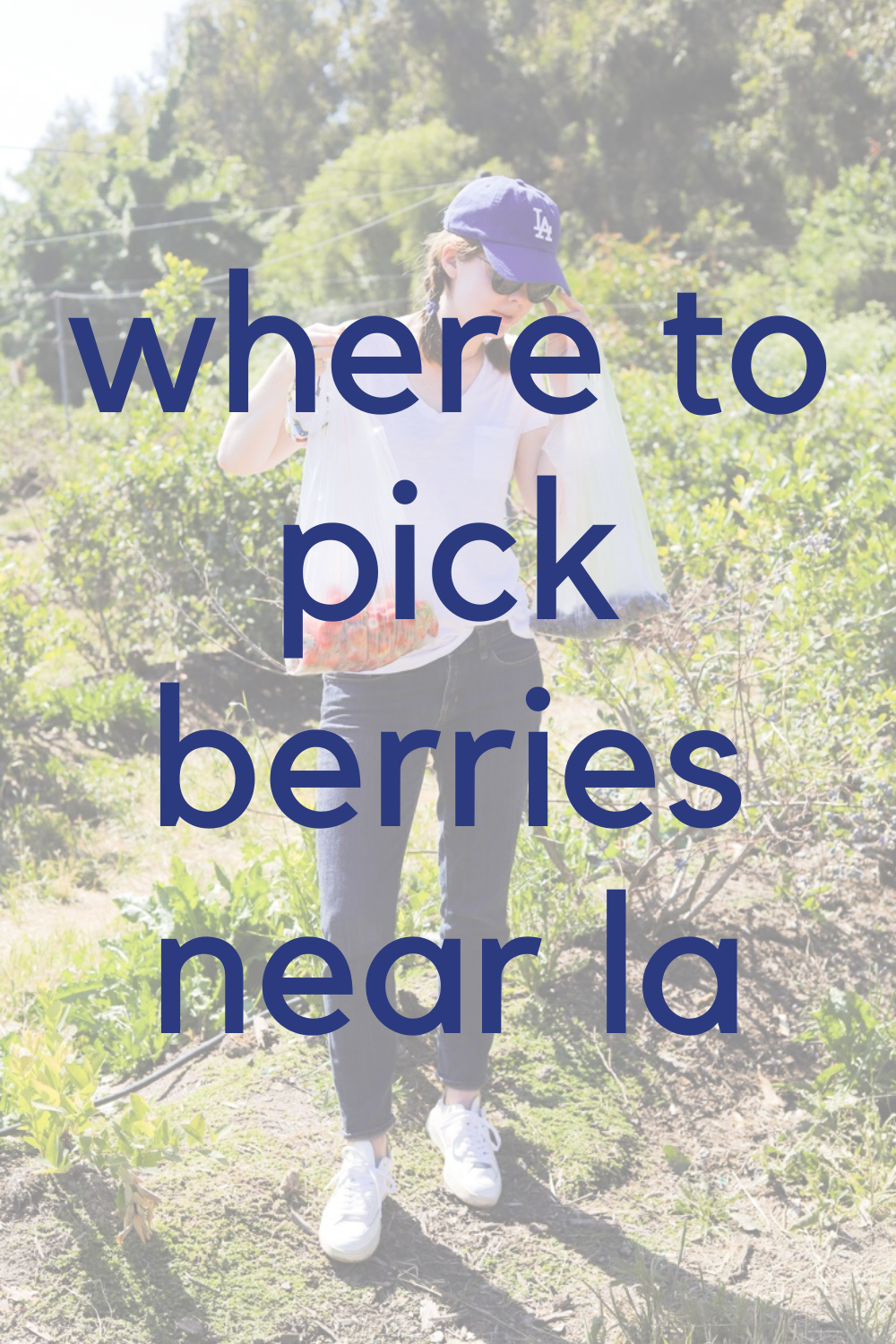 where to pick berries near la, underwood family farm, los angeles, riley's farm, u-pick, strawberries, blueberries, blackberries, raspberries, california produce, la blogger, ellemulenos, lments of style