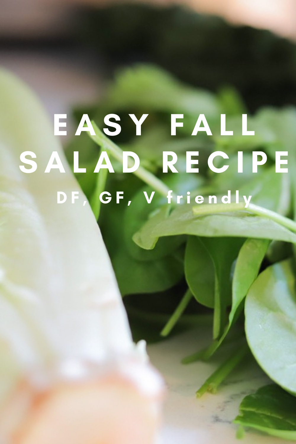 easy fall salad recipe, autumn salad recipe with apples, dairy-free, gluten-free, vegan friendly, vegetarian, dairy-free chicken apple salad, thanksgiving salad ideas, lments of style, la blogger, los angeles
