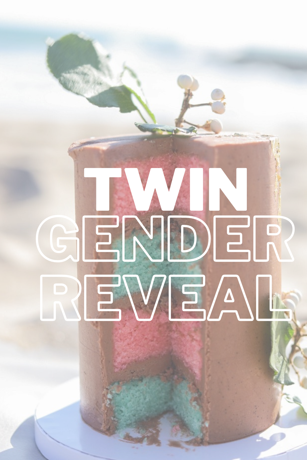 twin gender reveal, sweet dreams bakery oc, di-di twins, boy girl twins, lments of style, la blogger, sex of the baby announcement, gender reveal ideas, intimate gender reveal