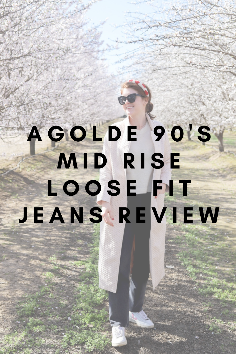 lments of style, agolde 90's mid rise loose fit jeans review, how they fit, sizing, compared to pinch waist, are they worth the money, la blogger