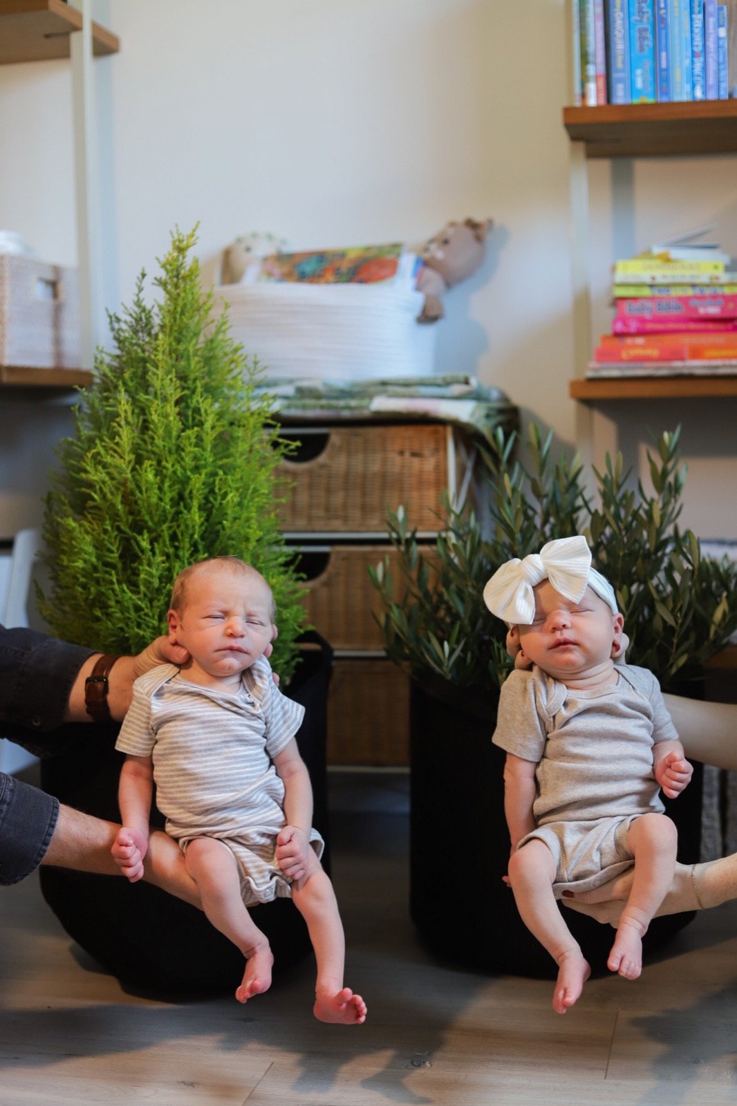introducing the mulenos twins, lments of style, di-di twins, twin pregnancy, boy-girl twins, baby name inspiration, baby name ideas, unique baby names, cyprus, olive, cypress tree, olive bush