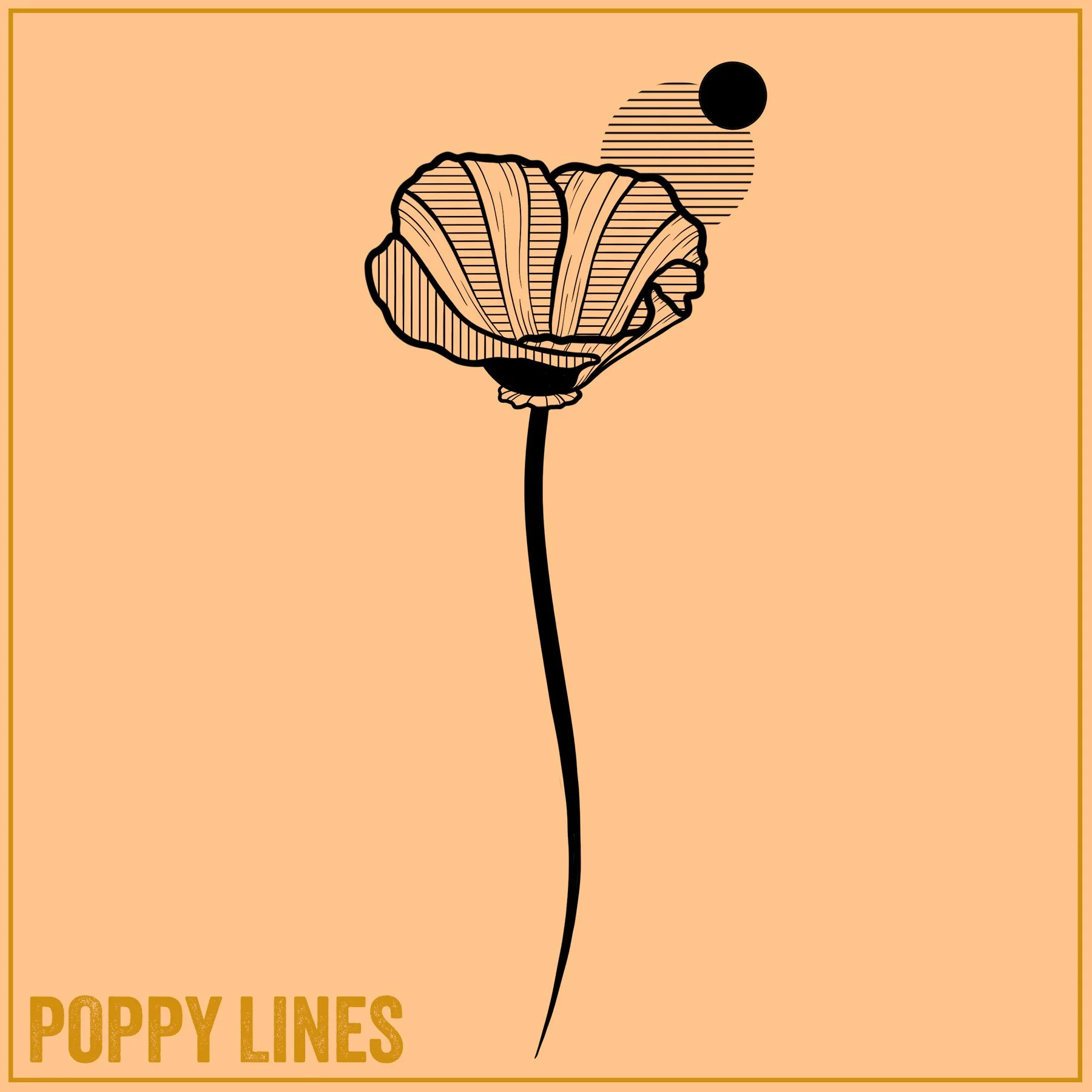 POPPY LINES.jpg