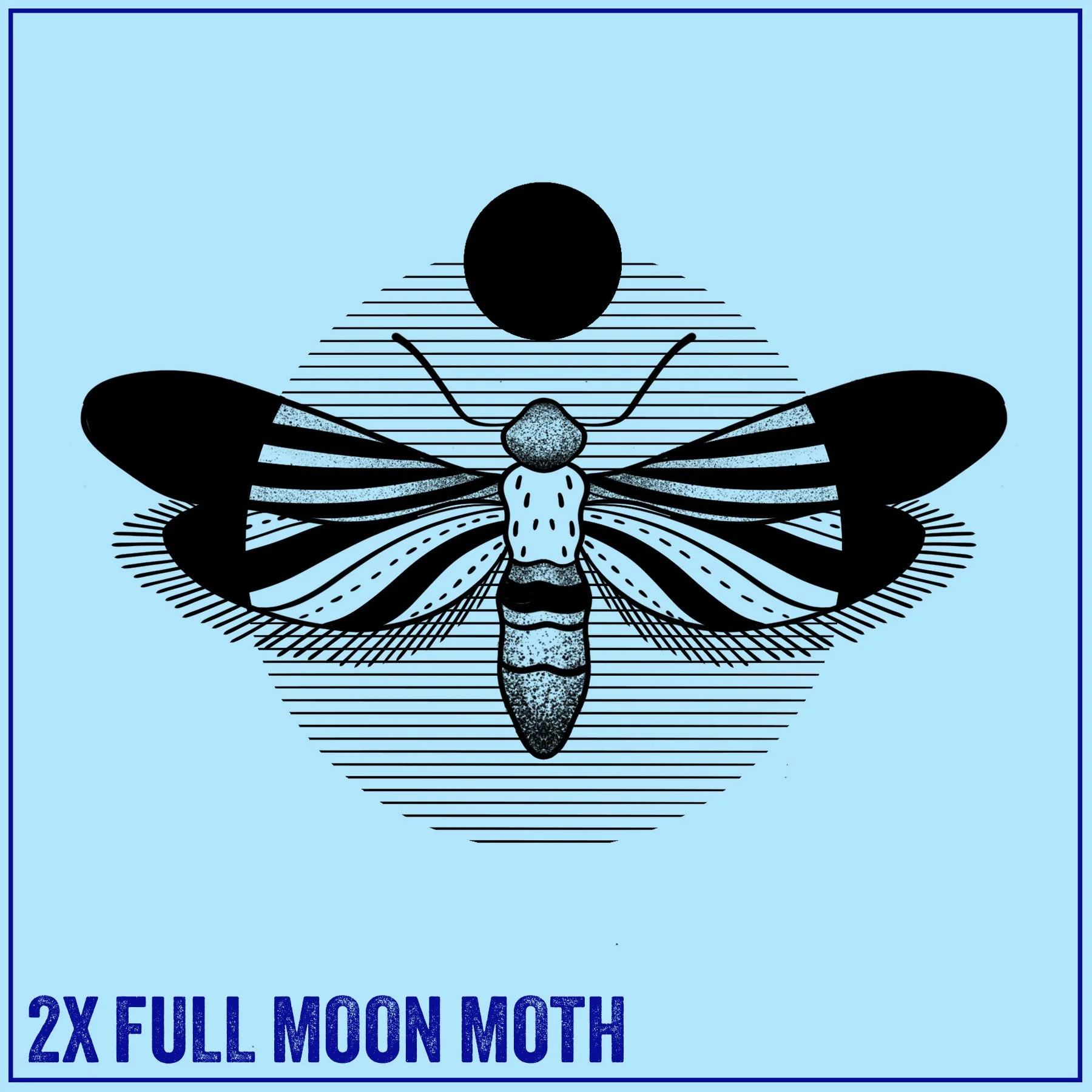 2X MOTH.jpg