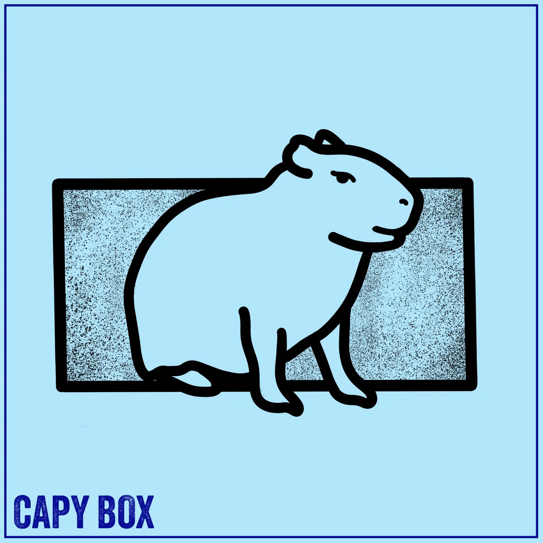 CAPY BOX.jpg