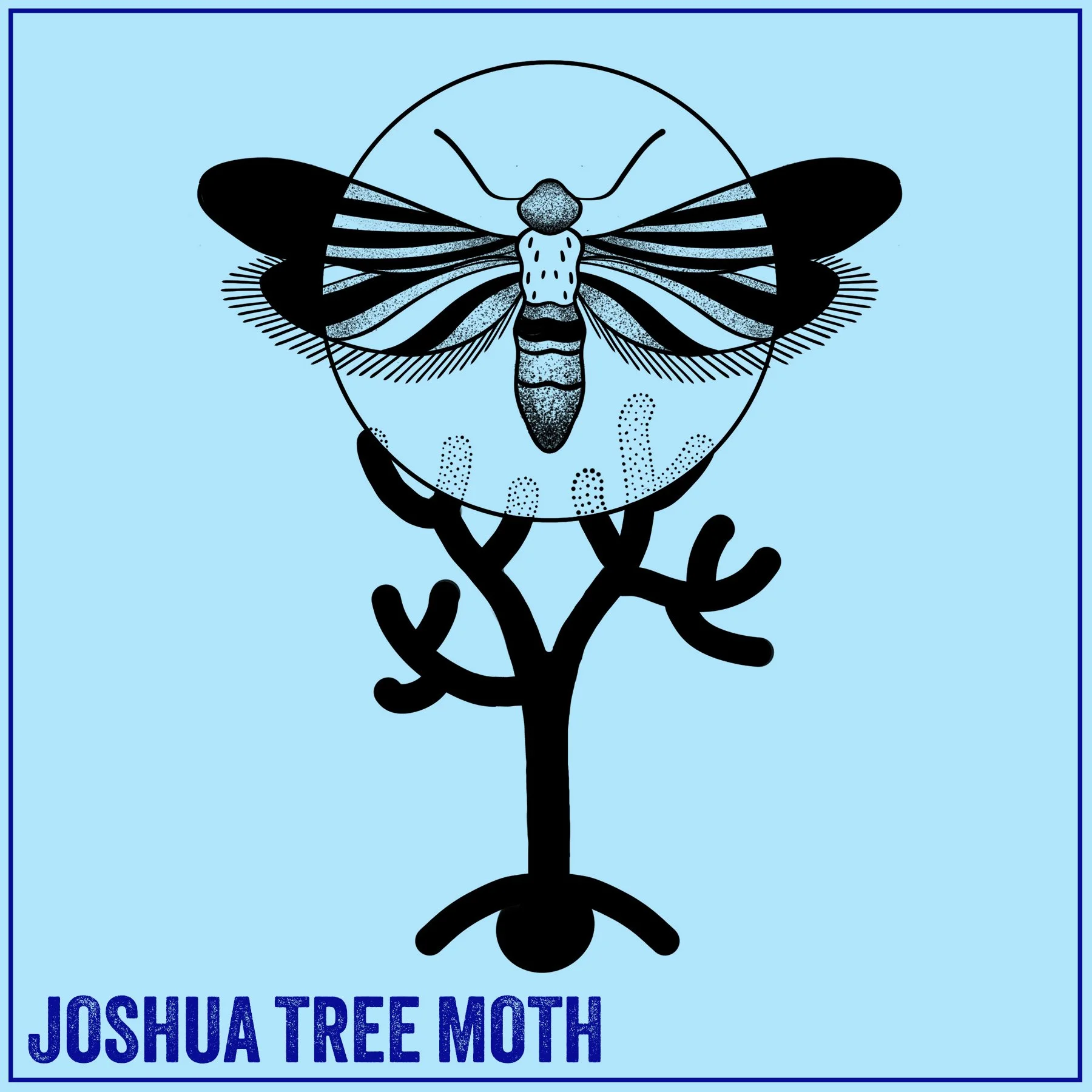 J MOTH BLUE.jpg