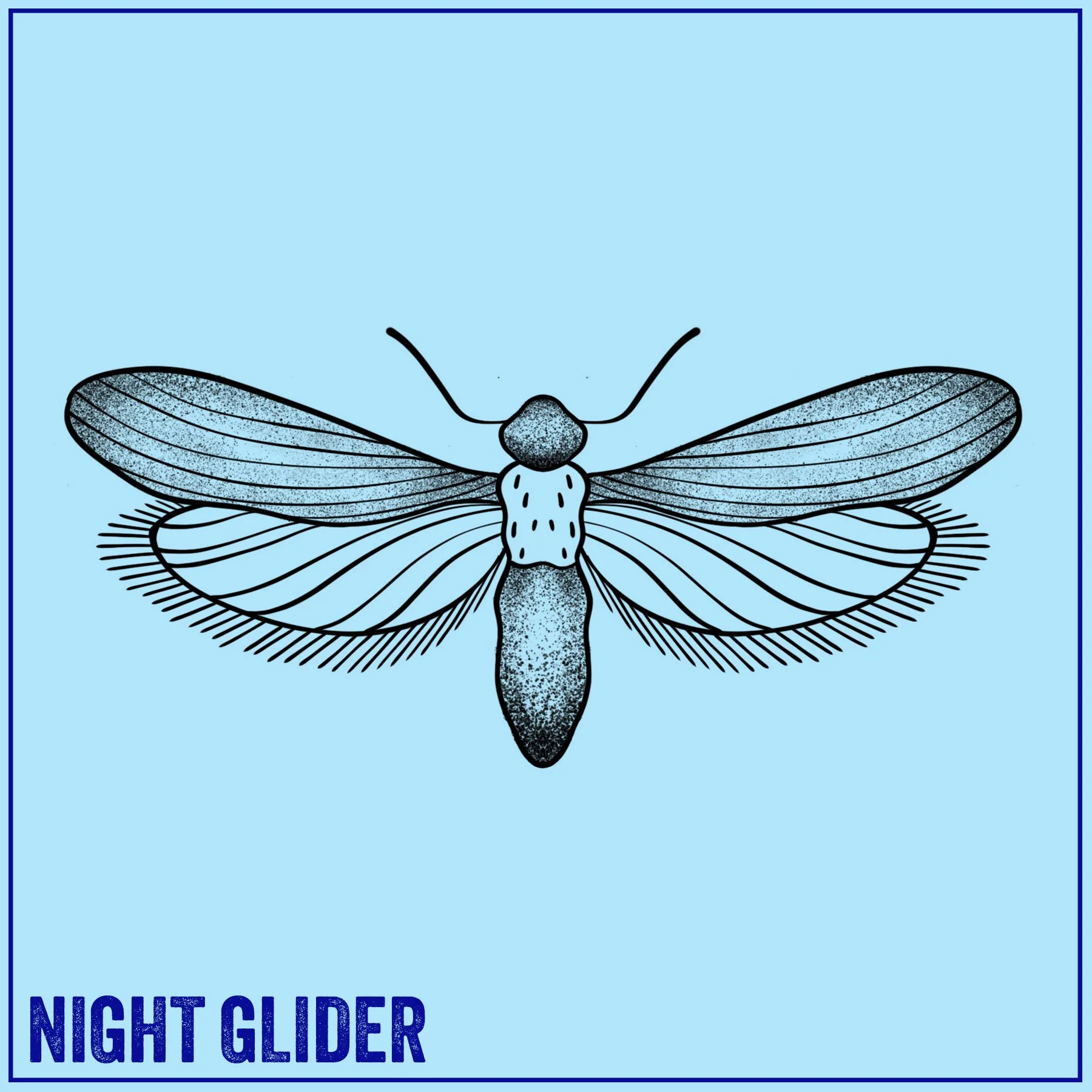 NIGHT GLIDER.jpg