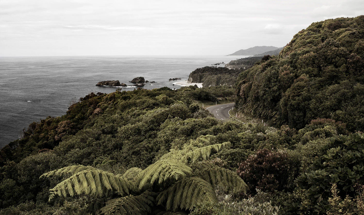 Road winding along the bush-covered West Coast of New Zealand