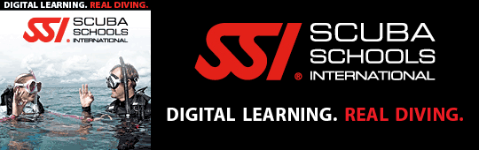SSI Training.png