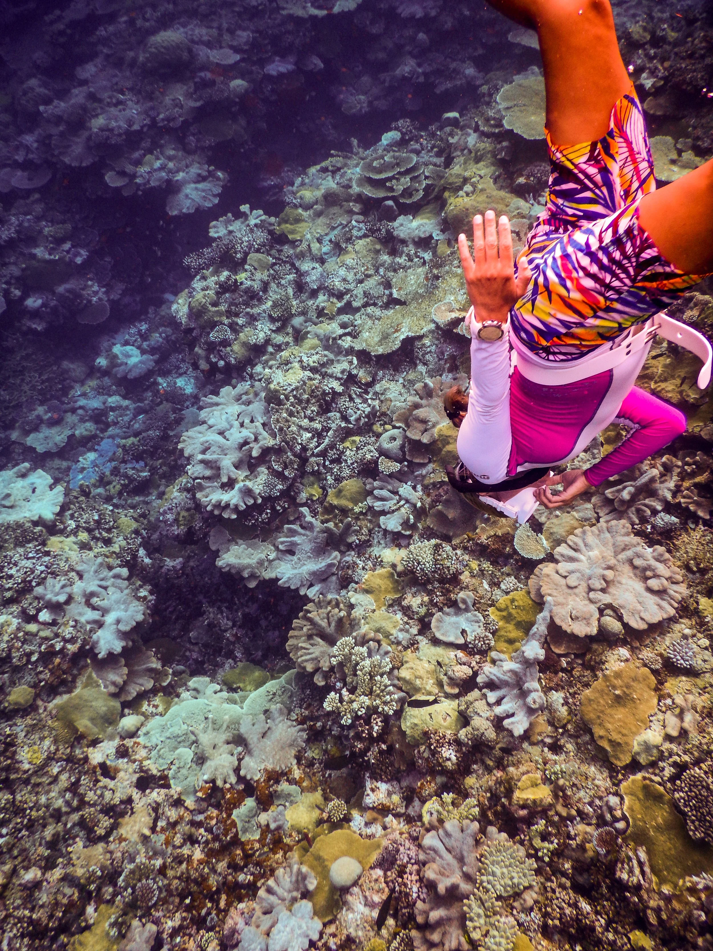 Belinda Freediving Coral Profile.jpg
