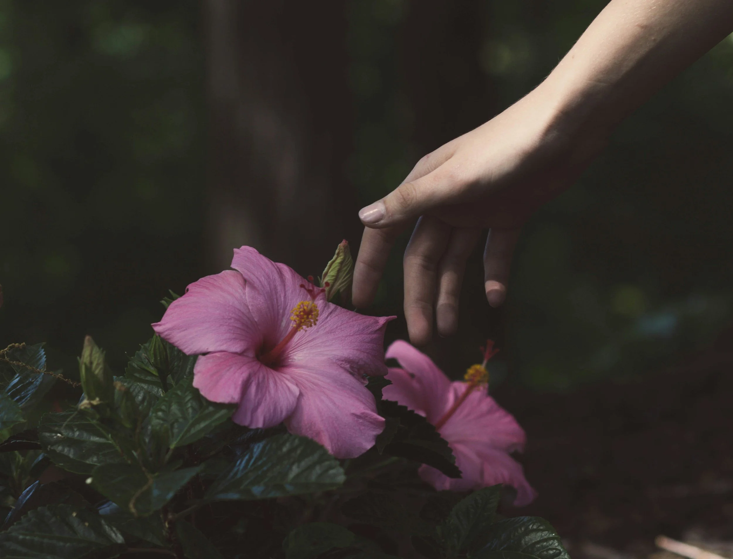 unsplash-image-IUPwtchNpPU.jpg