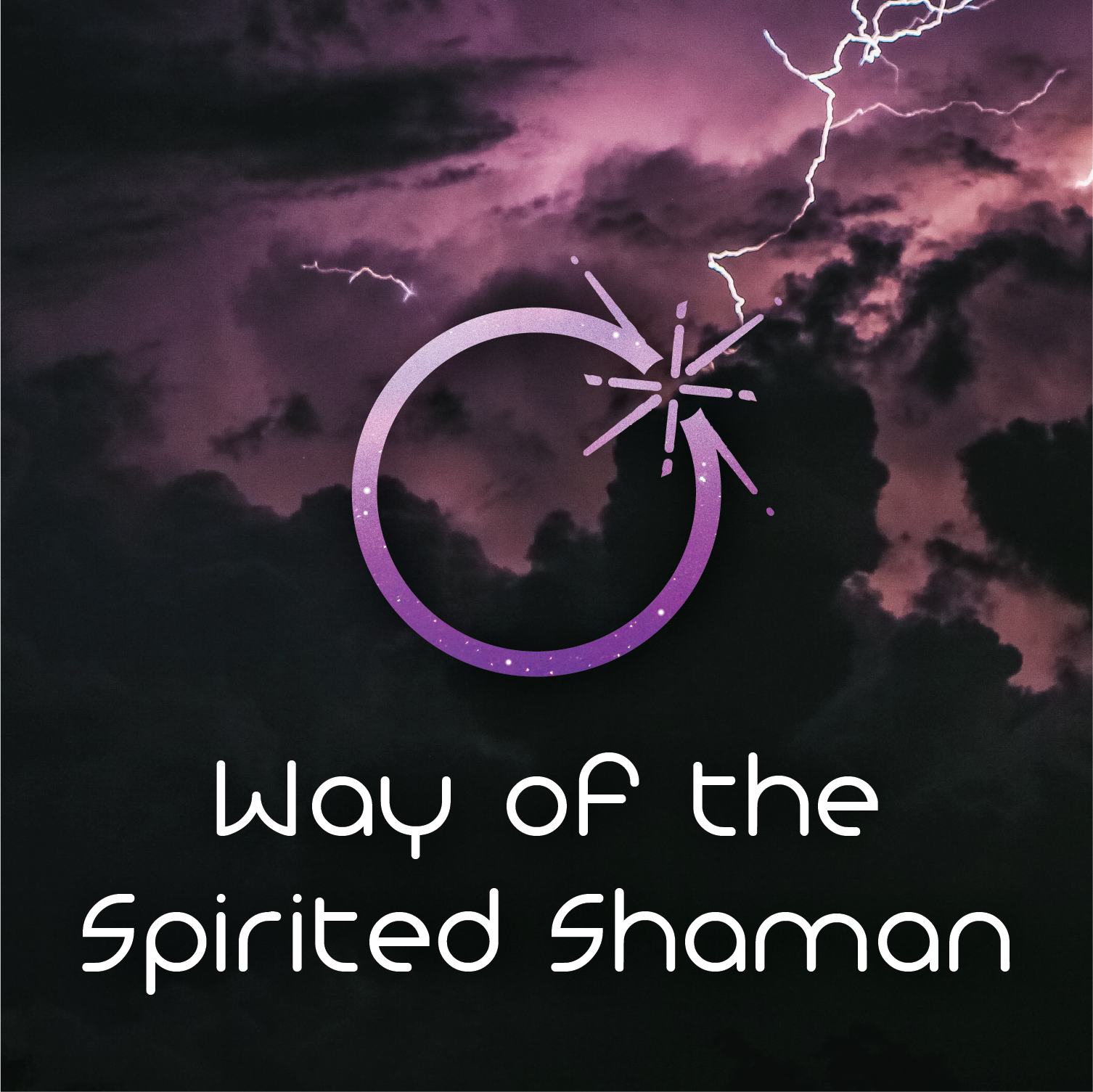 Way Of The Spirited Shaman Apprenticeship