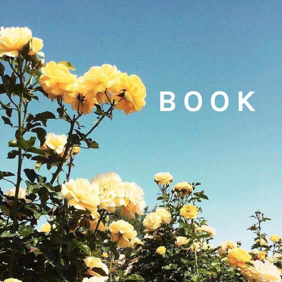 BOOK.png