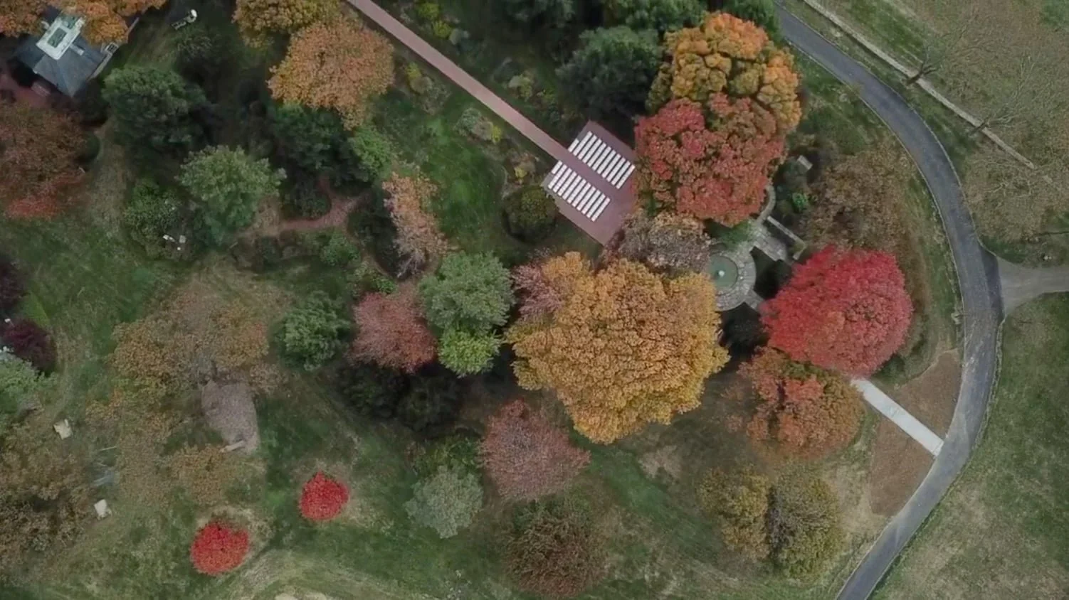 Tony + Kari | October 26th, 2019