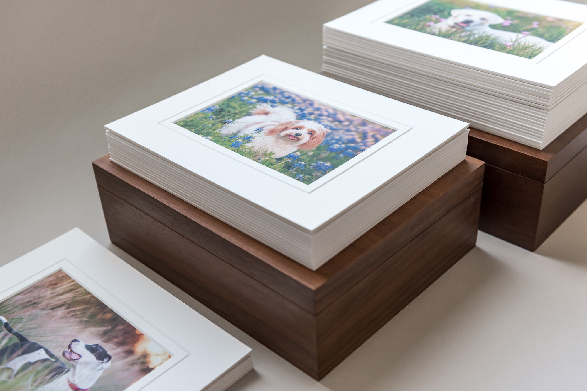 portfolio boxes with matted prints houston dog photography.jpg