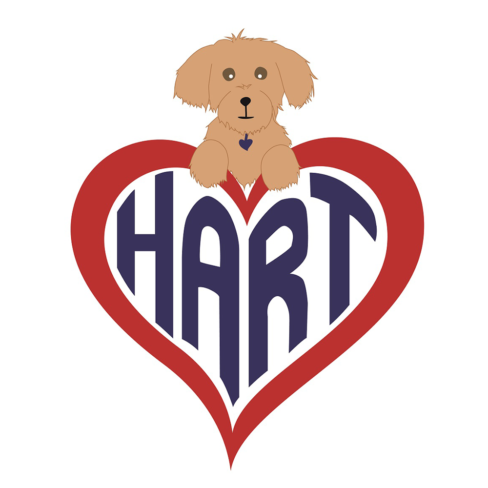 Dog Calendar Fundraiser for Houston Animal Rescue Team — Houston Texas  Headshot & Portrait Photographer