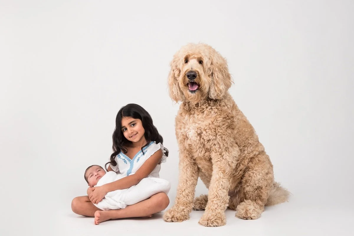 studio portrait of kids and dogs houston texas