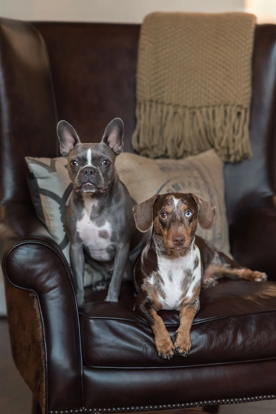 PRINT-Carlos-Truman-18.jpg