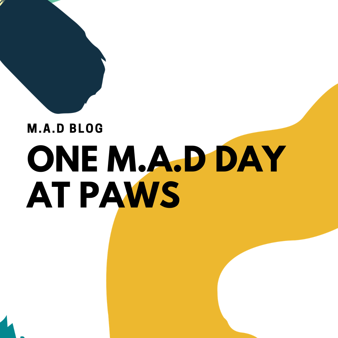 mad-hat-asia-make-a-difference-m-a-d