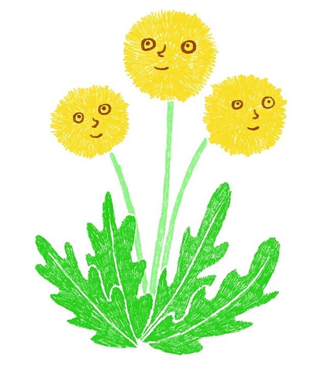 How's quarantine going? 💛 While I typically tend to be a cynical person, I am making a conscious effort to refuse the temptation of a negative spiral during this time. Today I'm admiring the dandelions in my yard, whose blooms I celebrate because th