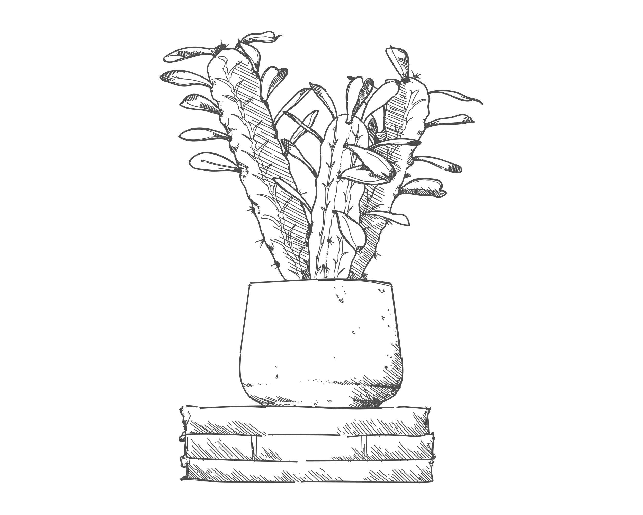 Plant-01.png