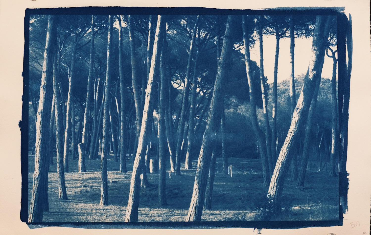 Ansedonia2.jpg