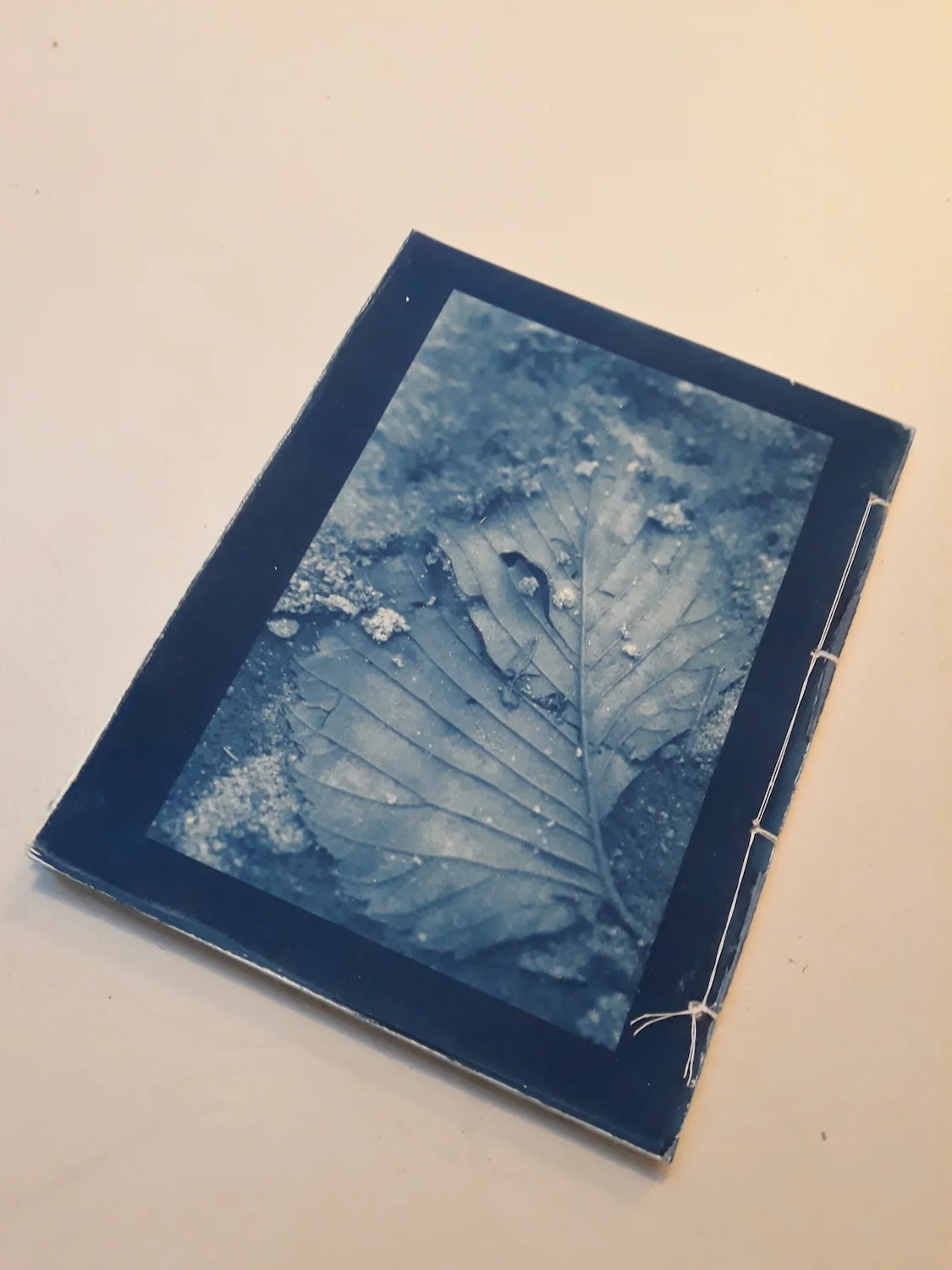 Blue Book Retro.jpg