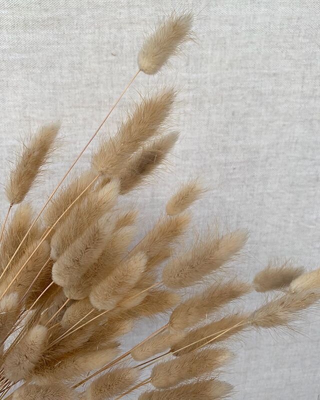 Bunny tails 🐰🌾
⠀⠀⠀⠀⠀⠀⠀⠀⠀
One of my favourite fluffy details!