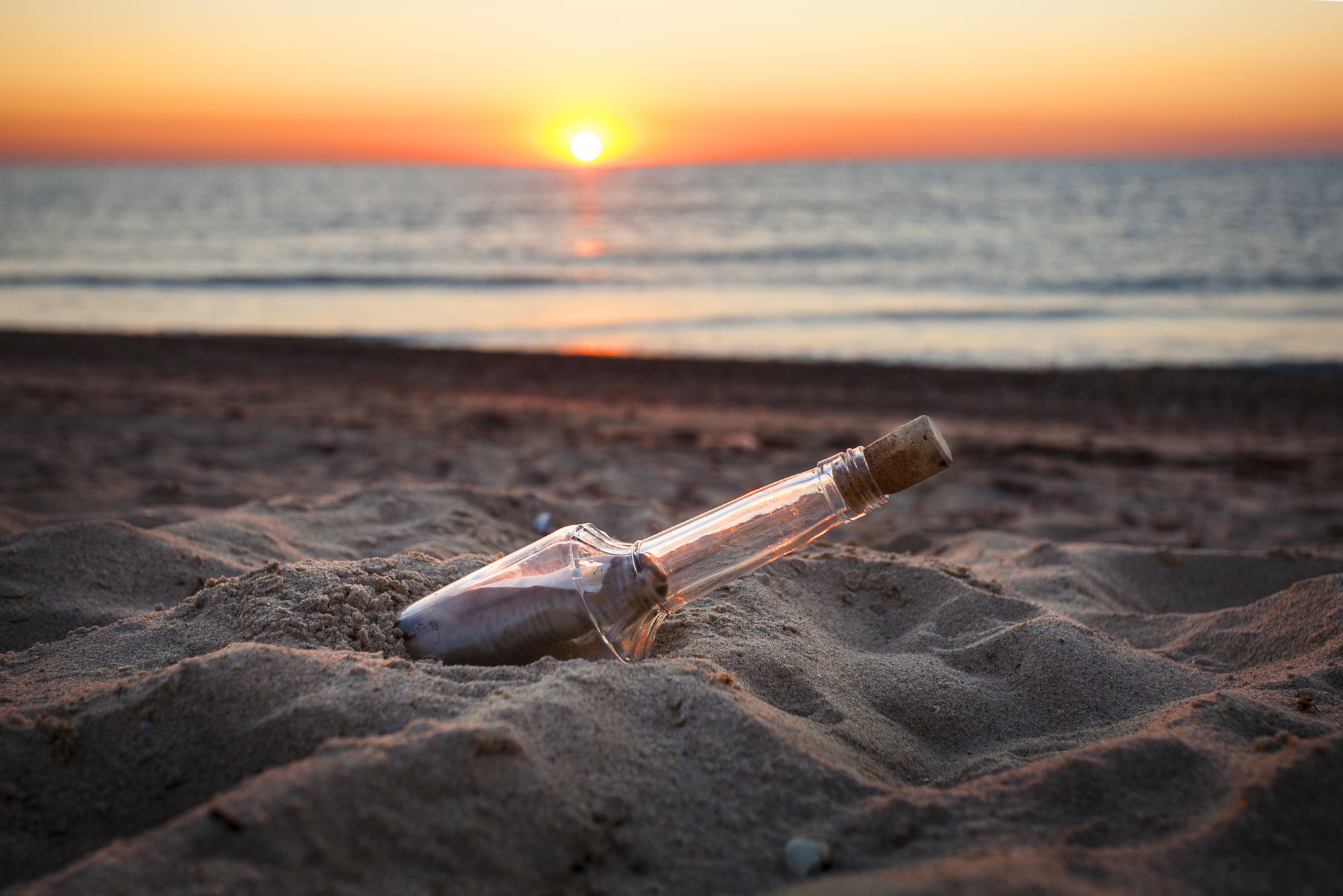 iStock_59447058_web sized.jpg