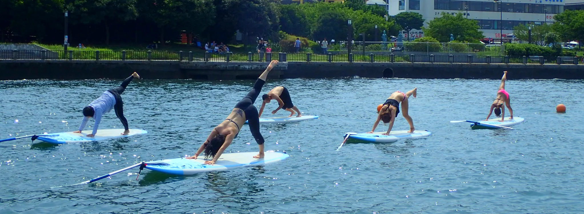 SUP Yoga Enoshima