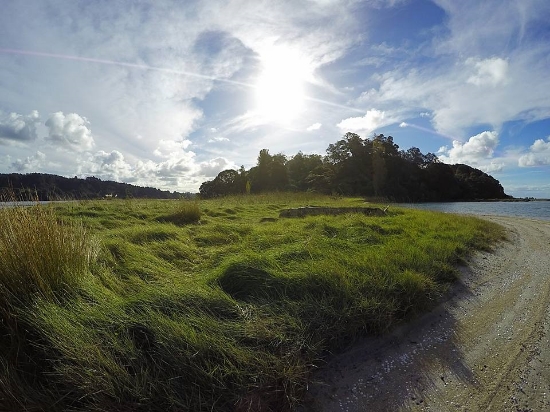 Hokianga Island, Ohiwa Harbour.