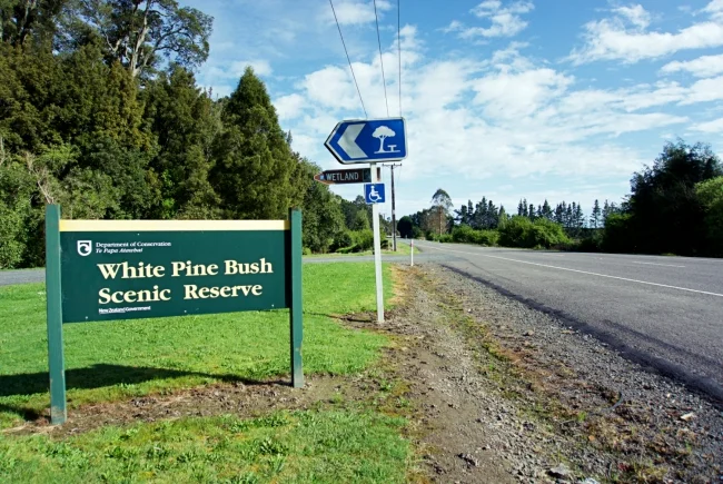WhitepineBushRd_01_W.jpg