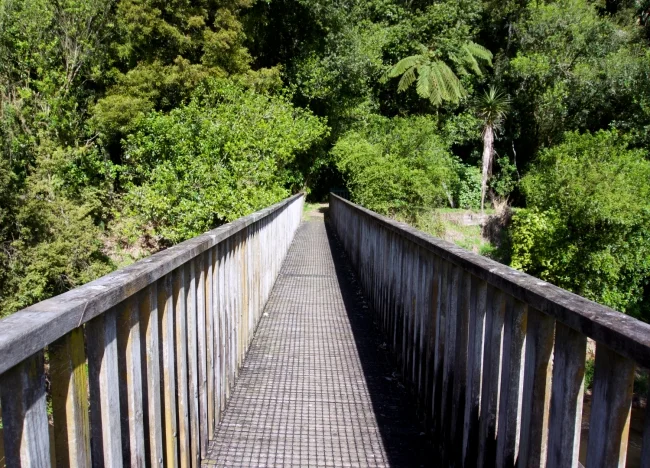 The wooden bridge that greets you at the start of the loop track.