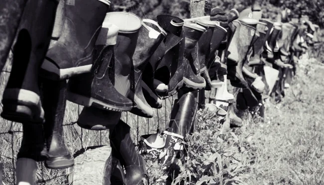 There's a fence of gumboots by the carpark, I forgot to read what it was for.