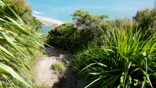 After one the steeper uphill sections, you come down the track opening up to the coastline. 
