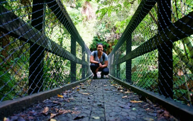 Whirinaki_Forest03_Web.jpg