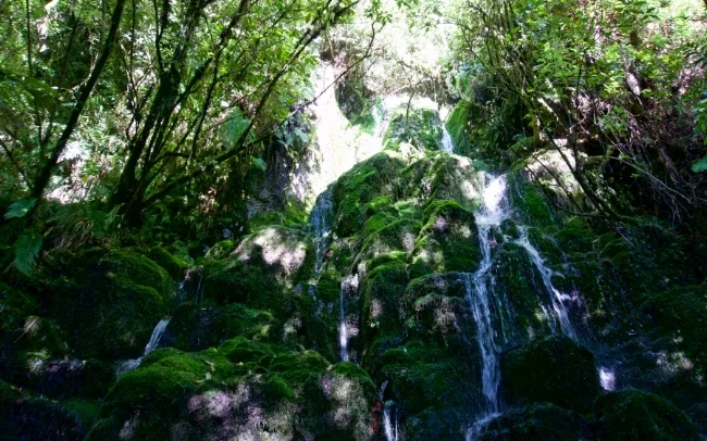 CascadeFalls_01_Web.jpg