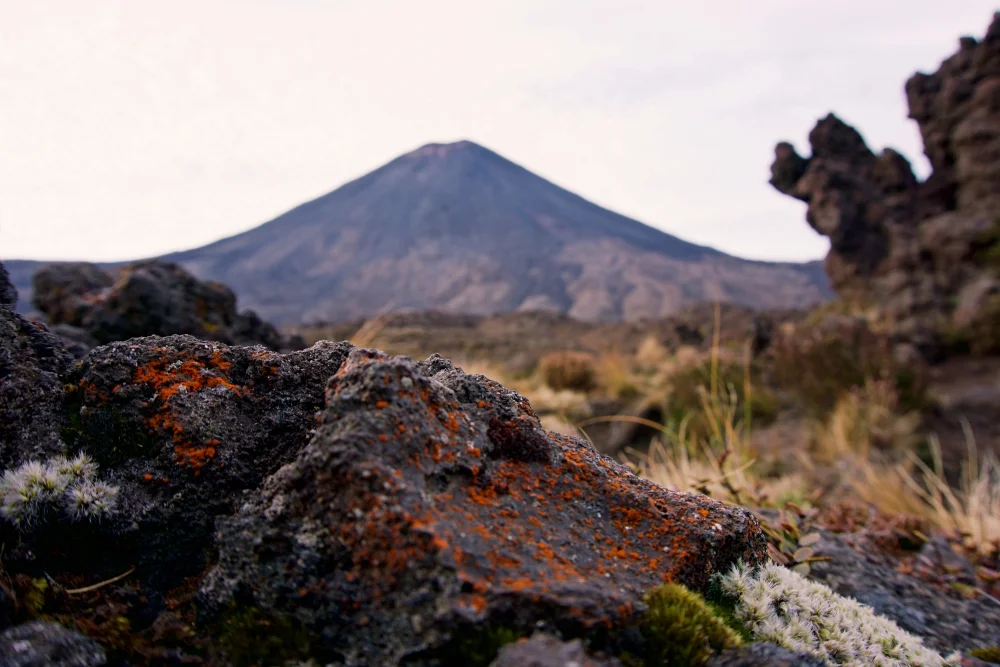 The ant's view of past volcanic activity in the area.