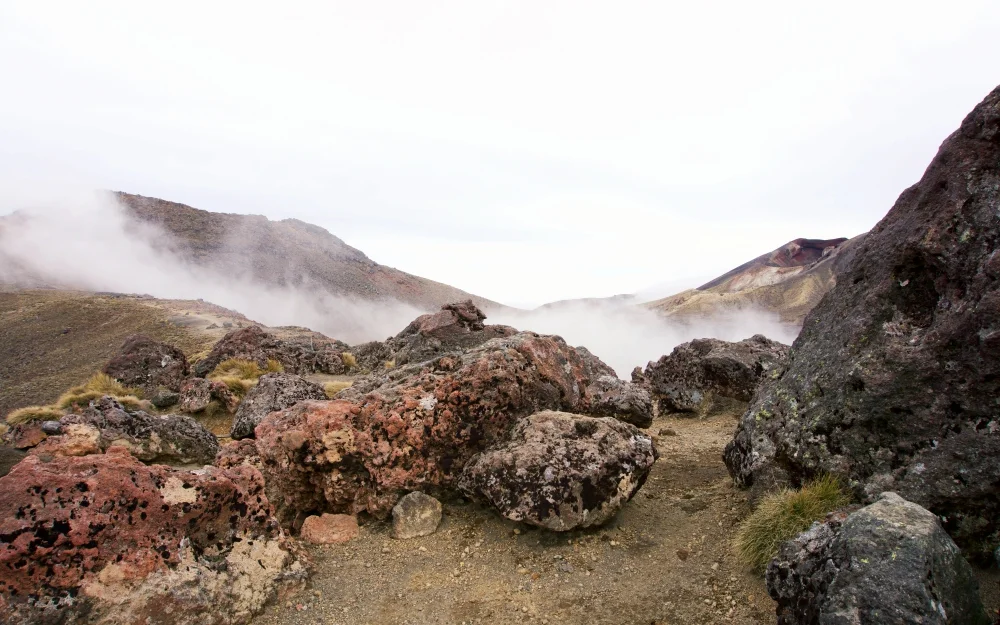 Volcanic rock is just endlessly fascinating to me.