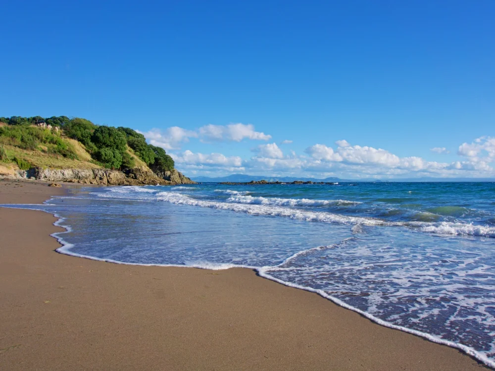 MotitiIsland-01-Web.jpg