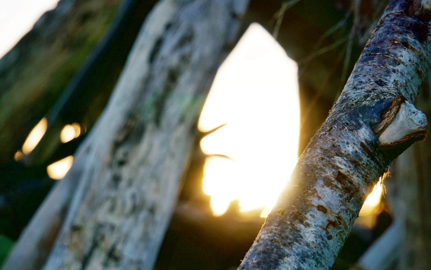 While Tamizan surfed at Fitzroy Beach, I walked along the black sands, watching and taking photos at sunrise.