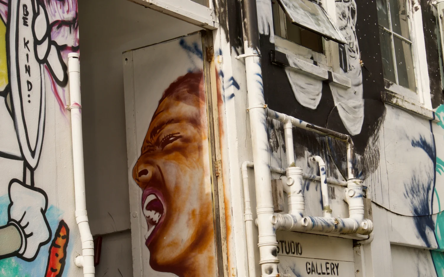 A snapshot of the 'Almost Famous' wall in New Plymouth.