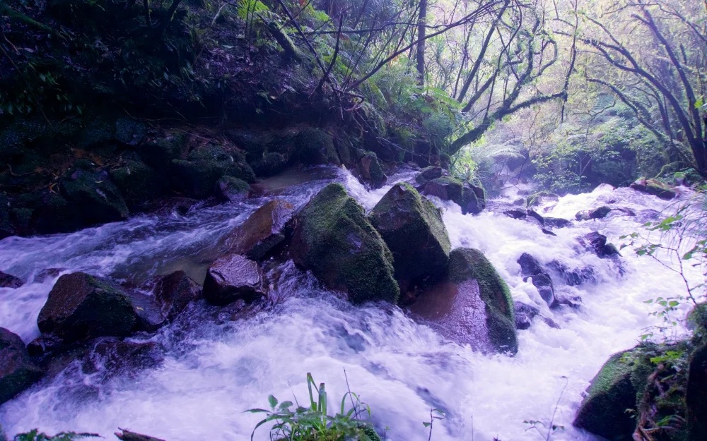 View downstream of the waterfall.