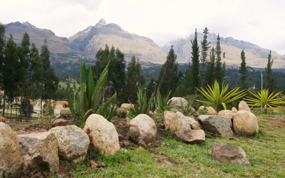 El Bosque at El Pinar is only ten minutes by taxi outside of Huaraz, but it seems like a world away with these views of the mountains.