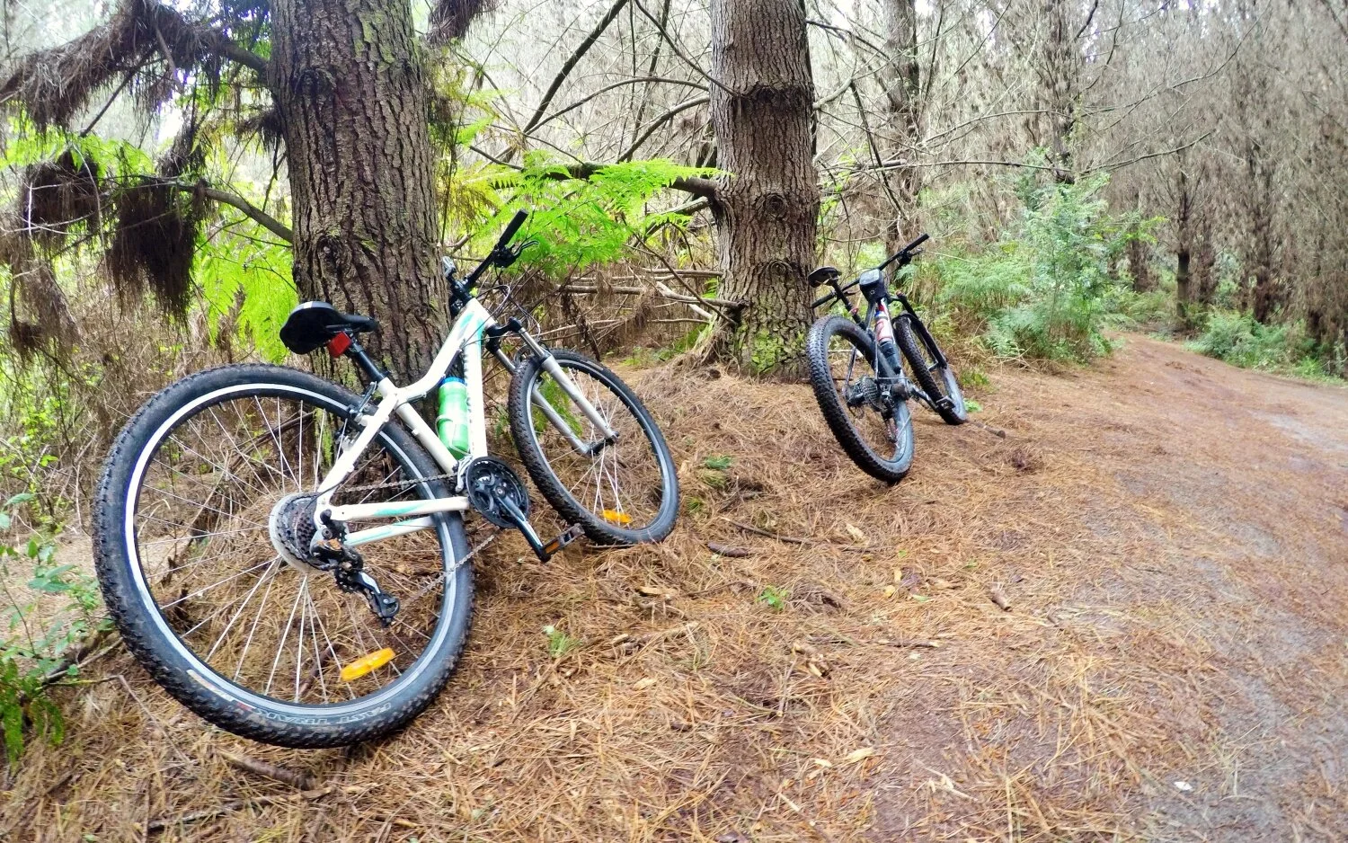 Taking a quick break during our ride at the Onepu Community Bike Park.