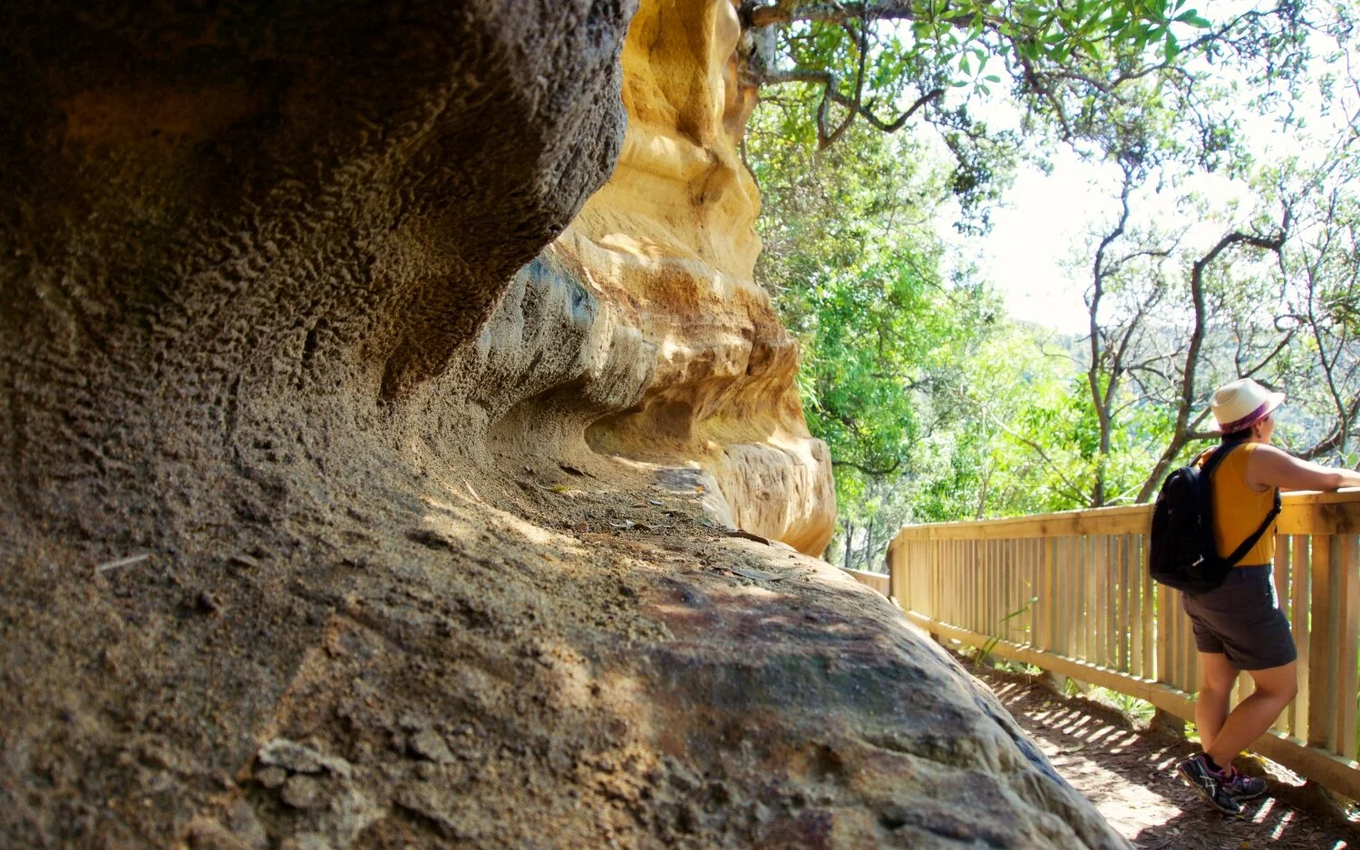 I love the colours on this limestone wall.