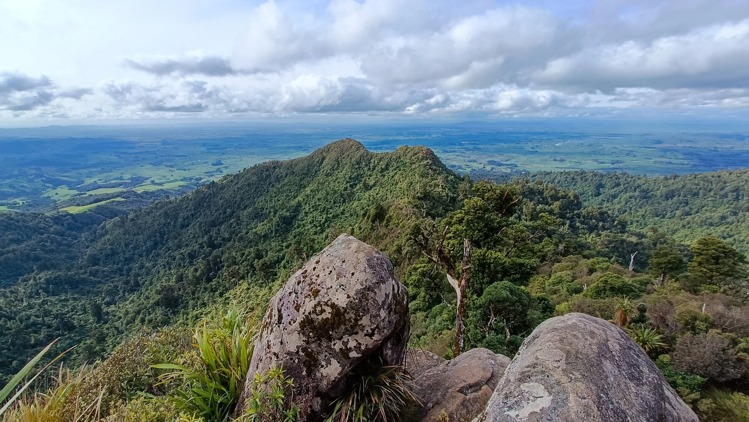 Pahāutea Hut via Tirohanga and Maraukura Loop in the Pirongia Forest