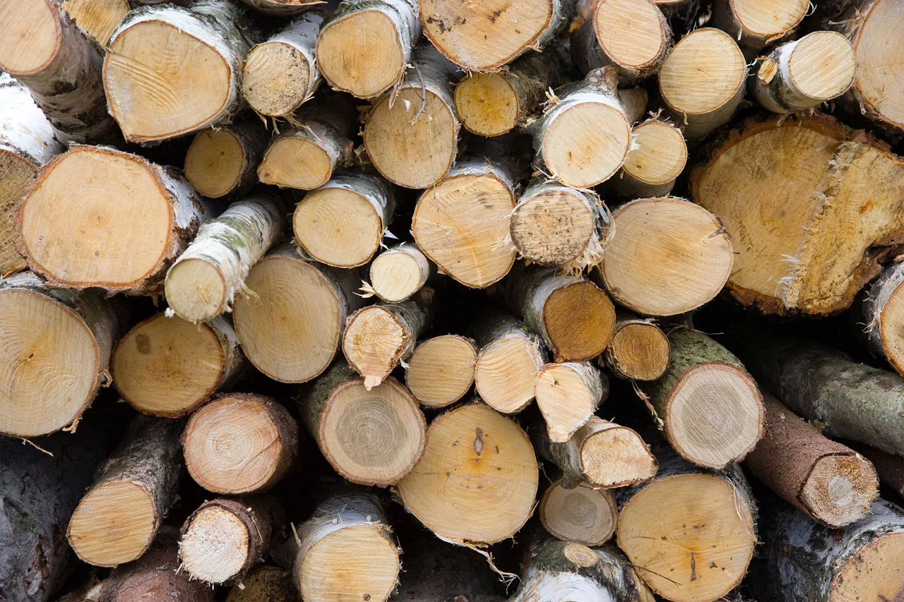 firewood.jpg