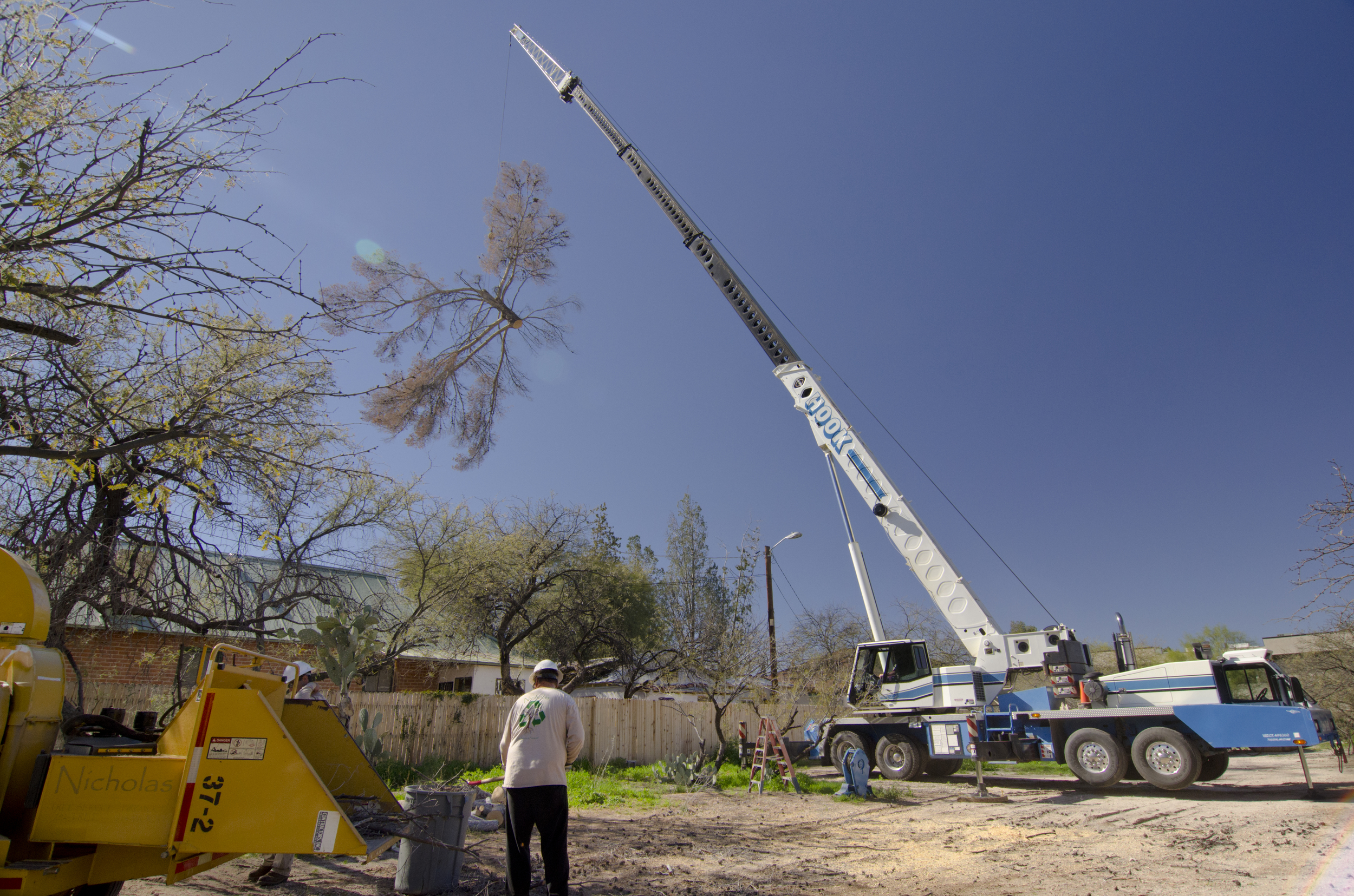 tree_cleanup_worker_crane.jpg